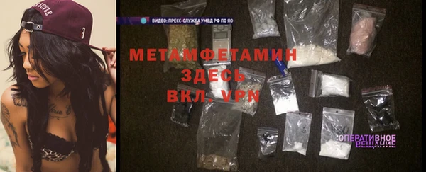 ГАЛЛЮЦИНОГЕННЫЕ ГРИБЫ Корсаков
