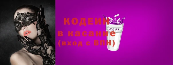 ГАЛЛЮЦИНОГЕННЫЕ ГРИБЫ Корсаков