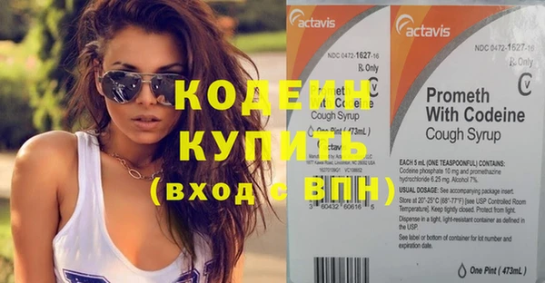 ГАЛЛЮЦИНОГЕННЫЕ ГРИБЫ Корсаков