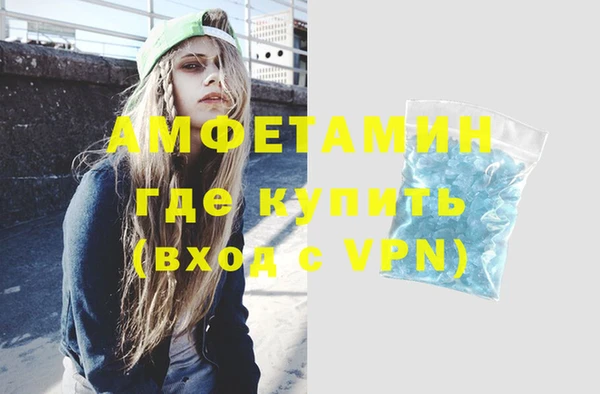 ГАЛЛЮЦИНОГЕННЫЕ ГРИБЫ Корсаков